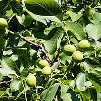 Dateiname=393A3680.jpg
Dateigröße=22825KB
Abmessungen: 6720x4480
hinzugefügt am: 13. Juni 2018 393A3680.jpg