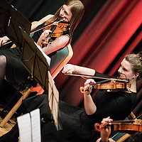 Dateiname=393A5704.jpg
Dateigröße=23345KB
Abmessungen: 6720x4480
hinzugefügt am: 10. Juli 2018 393A5704.jpg