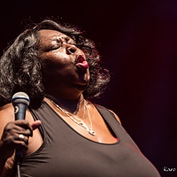 Dateiname=1X3A8231.JPG
Dateigröße=9291KB
Abmessungen: 4943x3495
hinzugefügt am: 24. August 2018 1X3A8231.JPG