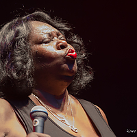 Dateiname=1X3A8232.JPG
Dateigröße=5434KB
Abmessungen: 4874x3446
hinzugefügt am: 24. August 2018 1X3A8232.JPG