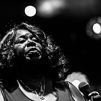 Dateiname=1X3A8252.JPG
Dateigröße=6058KB
Abmessungen: 4407x3116
hinzugefügt am: 24. August 2018 1X3A8252.JPG