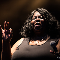 Dateiname=1X3A8266.JPG
Dateigröße=17126KB
Abmessungen: 6720x4480
hinzugefügt am: 24. August 2018 1X3A8266.JPG