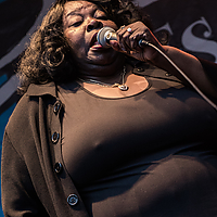 Dateiname=2R5A7699.jpg
Dateigröße=6099KB
Abmessungen: 2642x3963
hinzugefügt am: 24. August 2018 2R5A7699.jpg