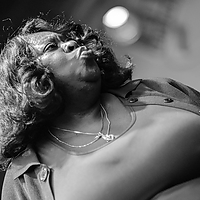 Dateiname=2R5A7709.jpg
Dateigröße=4463KB
Abmessungen: 3790x2527
hinzugefügt am: 24. August 2018 2R5A7709.jpg