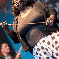 Dateiname=2R5A7712.jpg
Dateigröße=12775KB
Abmessungen: 4059x6088
hinzugefügt am: 24. August 2018 2R5A7712.jpg