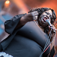 Dateiname=2R5A7727.jpg
Dateigröße=15105KB
Abmessungen: 5973x3982
hinzugefügt am: 24. August 2018 2R5A7727.jpg