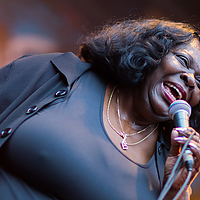 Dateiname=2R5A7731.jpg
Dateigröße=7202KB
Abmessungen: 4518x3012
hinzugefügt am: 24. August 2018 2R5A7731.jpg