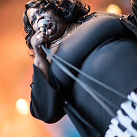 Dateiname=2R5A7732.jpg
Dateigröße=18144KB
Abmessungen: 4480x6720
hinzugefügt am: 24. August 2018 2R5A7732.jpg