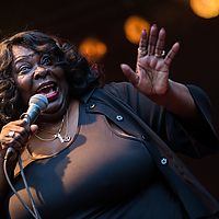 Dateiname=393A8389.jpg
Dateigröße=9934KB
Abmessungen: 6720x4480
hinzugefügt am: 24. August 2018 393A8389.jpg