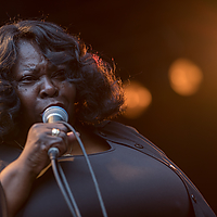 Dateiname=393A8395.jpg
Dateigröße=9550KB
Abmessungen: 6720x4480
hinzugefügt am: 24. August 2018 393A8395.jpg