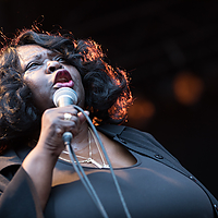 Dateiname=393A8397.jpg
Dateigröße=10152KB
Abmessungen: 6720x4480
hinzugefügt am: 24. August 2018 393A8397.jpg