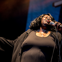 Dateiname=393A8421.jpg
Dateigröße=10313KB
Abmessungen: 6720x4480
hinzugefügt am: 24. August 2018 393A8421.jpg