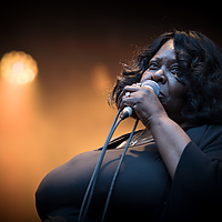 Dateiname=393A8425.jpg
Dateigröße=6694KB
Abmessungen: 6165x4110
hinzugefügt am: 24. August 2018 393A8425.jpg