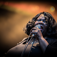 Dateiname=393A8427.jpg
Dateigröße=9933KB
Abmessungen: 6720x4480
hinzugefügt am: 24. August 2018 393A8427.jpg