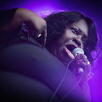 Dateiname=393A8445.jpg
Dateigröße=9280KB
Abmessungen: 6720x4480
hinzugefügt am: 24. August 2018 393A8445.jpg