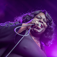 Dateiname=393A8448.jpg
Dateigröße=23148KB
Abmessungen: 6720x4480
hinzugefügt am: 24. August 2018 393A8448.jpg