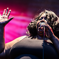 Dateiname=393A8528.jpg
Dateigröße=20147KB
Abmessungen: 6720x4480
hinzugefügt am: 24. August 2018 393A8528.jpg