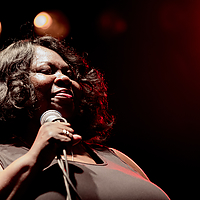 Dateiname=393A8588.jpg
Dateigröße=11729KB
Abmessungen: 6720x4480
hinzugefügt am: 24. August 2018 393A8588.jpg