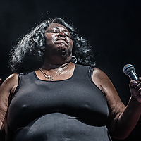 Dateiname=393A8636.jpg
Dateigröße=11075KB
Abmessungen: 5878x3919
hinzugefügt am: 24. August 2018 393A8636.jpg