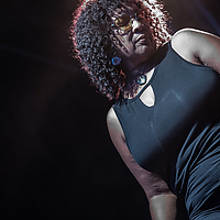 Dateiname=393A7240.jpg
Dateigröße=12324KB
Abmessungen: 4480x6720
hinzugefügt am: 23. August 2018 393A7240.jpg