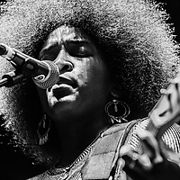 Dateiname=393A7354.jpg
Dateigröße=18370KB
Abmessungen: 4480x6720
hinzugefügt am: 23. August 2018 393A7354.jpg