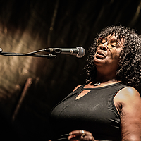 Dateiname=393A7369.jpg
Dateigröße=17460KB
Abmessungen: 6720x4480
hinzugefügt am: 23. August 2018 393A7369.jpg