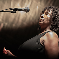 Dateiname=393A7373.jpg
Dateigröße=8637KB
Abmessungen: 5667x3778
hinzugefügt am: 23. August 2018 393A7373.jpg