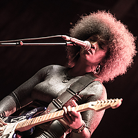 Dateiname=393A7468.jpg
Dateigröße=17616KB
Abmessungen: 6720x4480
hinzugefügt am: 23. August 2018 393A7468.jpg