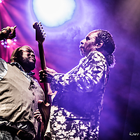 Dateiname=1X3A8631.JPG
Dateigröße=16472KB
Abmessungen: 6336x4480
hinzugefügt am: 24. August 2018 1X3A8631.JPG