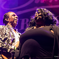 Dateiname=1X3A8635.JPG
Dateigröße=13963KB
Abmessungen: 5280x3733
hinzugefügt am: 24. August 2018 1X3A8635.JPG