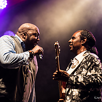 Dateiname=1X3A8642.JPG
Dateigröße=12029KB
Abmessungen: 6336x4480
hinzugefügt am: 24. August 2018 1X3A8642.JPG