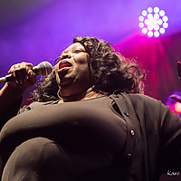 Dateiname=1X3A8666.JPG
Dateigröße=13273KB
Abmessungen: 5431x3840
hinzugefügt am: 24. August 2018 1X3A8666.JPG