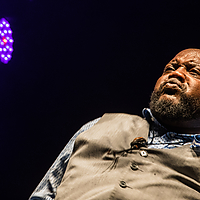 Dateiname=393A8758.jpg
Dateigröße=13585KB
Abmessungen: 5916x3944
hinzugefügt am: 24. August 2018 393A8758.jpg