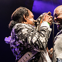 Dateiname=393A8877.jpg
Dateigröße=23956KB
Abmessungen: 6720x4480
hinzugefügt am: 24. August 2018 393A8877.jpg