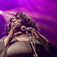 Dateiname=393A8917.jpg
Dateigröße=29268KB
Abmessungen: 6720x4480
hinzugefügt am: 24. August 2018 393A8917.jpg