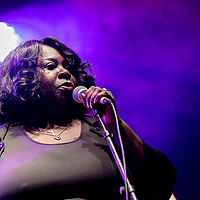 Dateiname=393A8919.jpg
Dateigröße=21887KB
Abmessungen: 6720x4480
hinzugefügt am: 24. August 2018 393A8919.jpg