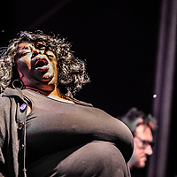 Dateiname=393A8948.jpg
Dateigröße=15714KB
Abmessungen: 6720x4480
hinzugefügt am: 24. August 2018 393A8948.jpg