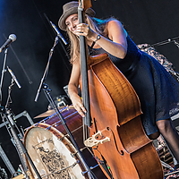 Dateiname=2R5A7131.jpg
Dateigröße=18690KB
Abmessungen: 4480x6720
hinzugefügt am: 23. August 2018 2R5A7131.jpg