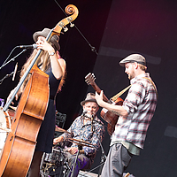 Dateiname=2R5A7177.jpg
Dateigröße=16078KB
Abmessungen: 6720x4480
hinzugefügt am: 23. August 2018 2R5A7177.jpg