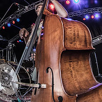 Dateiname=2R5A0196.jpg
Dateigröße=5793KB
Abmessungen: 2412x3618
hinzugefügt am: 27. Mai 2019 2R5A0196.jpg