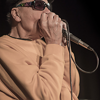 Dateiname=2R5A6470.jpg
Dateigröße=6405KB
Abmessungen: 4480x6720
hinzugefügt am: 23. März 2019 2R5A6470.jpg