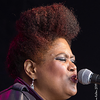 Dateiname=1X3A1488.JPG
Dateigröße=1649KB
Abmessungen: 1518x1822
hinzugefügt am: 19. September 2019 1X3A1488.JPG