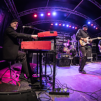 Dateiname=393A7157.jpg
Dateigröße=9871KB
Abmessungen: 5000x3333
hinzugefügt am: 16. September 2019 393A7157.jpg