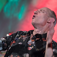 Dateiname=393A3784.jpg
Dateigröße=19889KB
Abmessungen: 6720x4480
hinzugefügt am: 08. Dezember 2019 393A3784.jpg