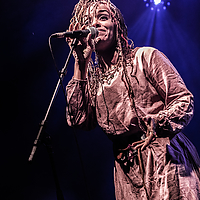 Dateiname=2R5A3230.jpg
Dateigröße=18707KB
Abmessungen: 5000x7500
hinzugefügt am: 29. August 2019 2R5A3230.jpg