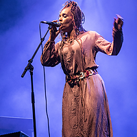 Dateiname=2R5A3241.jpg
Dateigröße=20941KB
Abmessungen: 5000x7500
hinzugefügt am: 29. August 2019 2R5A3241.jpg