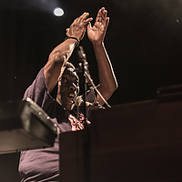 Dateiname=393A4093.jpg
Dateigröße=4200KB
Abmessungen: 5000x3333
hinzugefügt am: 29. August 2019 393A4093.jpg