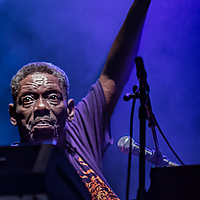 Dateiname=393A4105.jpg
Dateigröße=8875KB
Abmessungen: 5000x7500
hinzugefügt am: 29. August 2019 393A4105.jpg