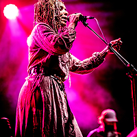 Dateiname=393A4210.jpg
Dateigröße=18549KB
Abmessungen: 5000x7500
hinzugefügt am: 29. August 2019 393A4210.jpg