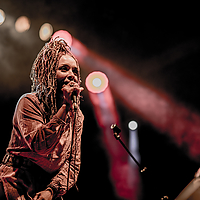 Dateiname=393A4233.jpg
Dateigröße=4677KB
Abmessungen: 5000x3333
hinzugefügt am: 29. August 2019 393A4233.jpg